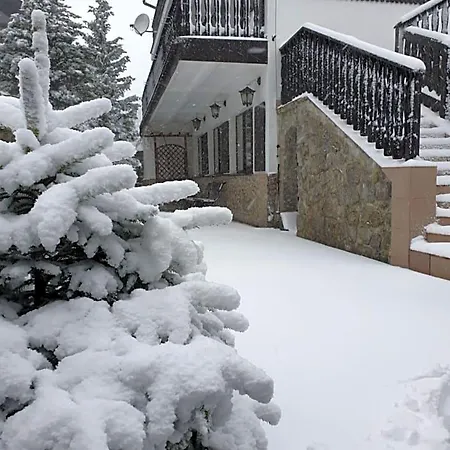 B&B Gencjana 3*