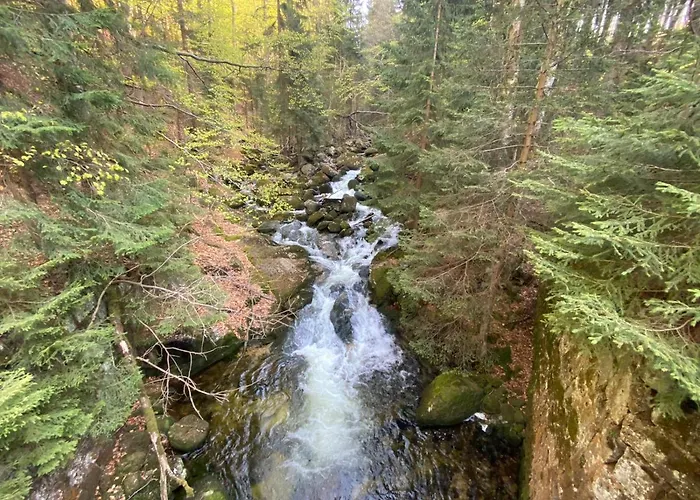 Bed & Breakfast Gencjana Szklarska Poreba