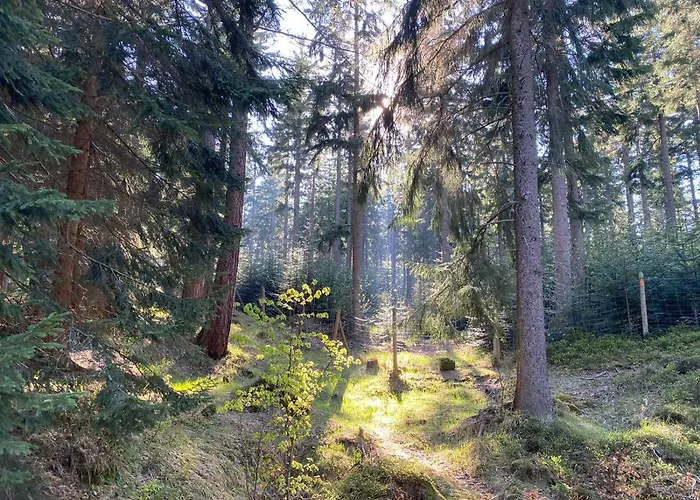 Gencjana Bed & Breakfast